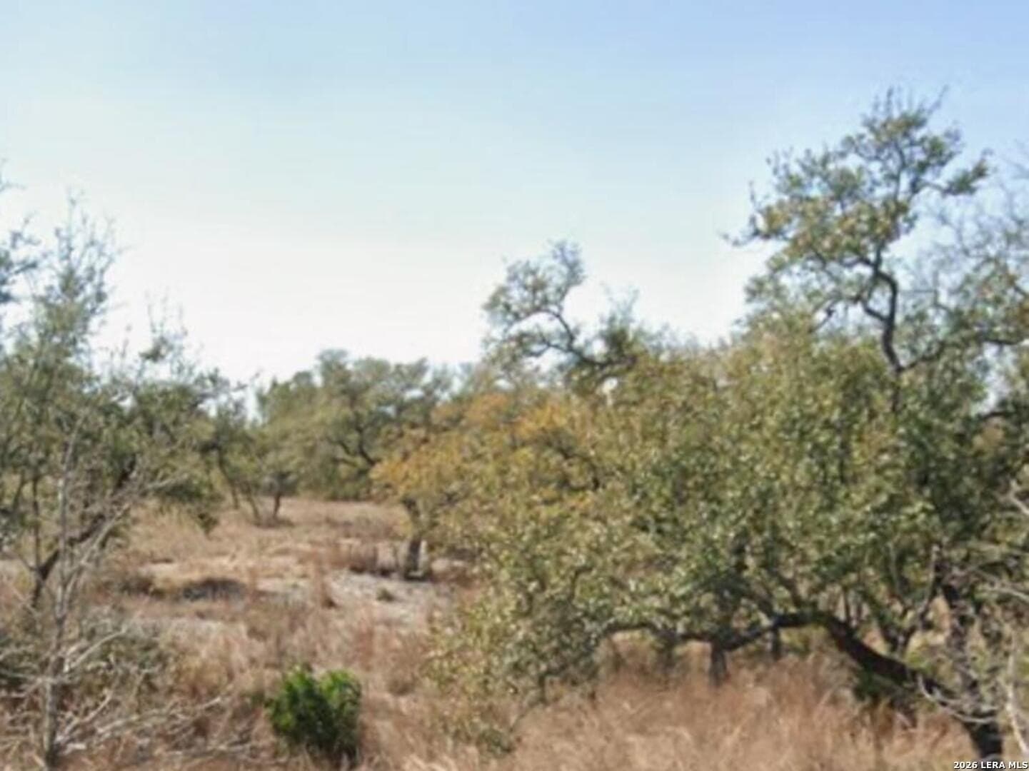2.06 acres in Bexar County - photo 4