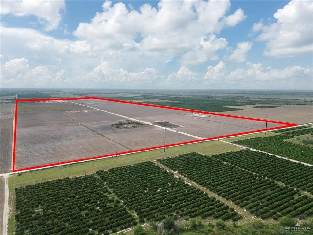 418.84 acres in Hidalgo County gallery image 4