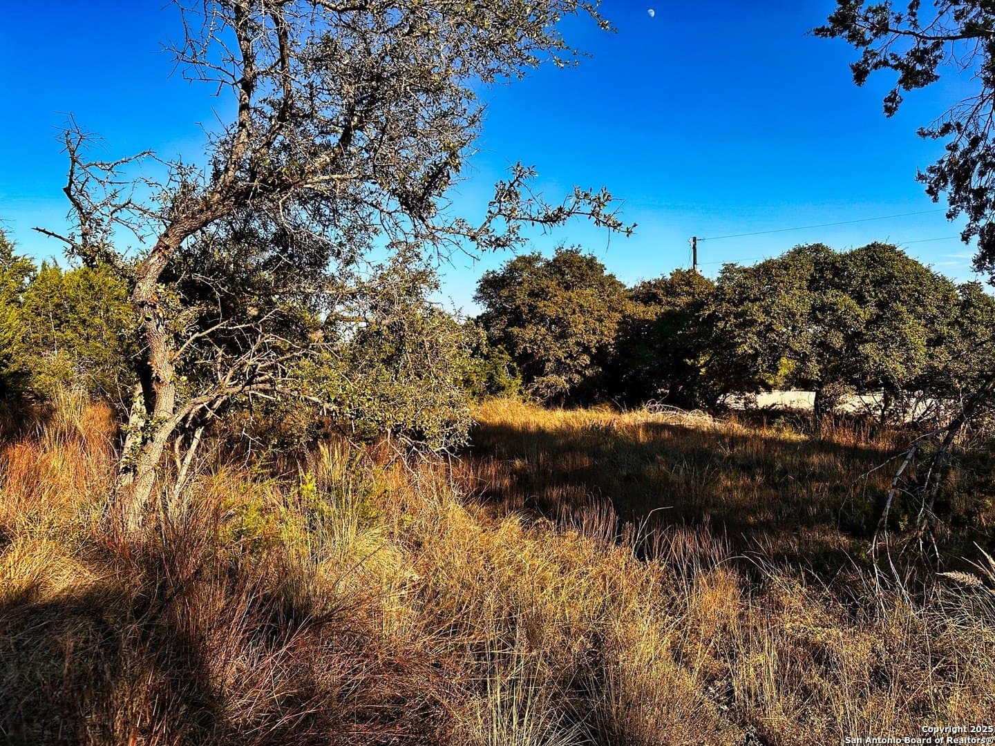 0.51 acres in Comal County - photo 7