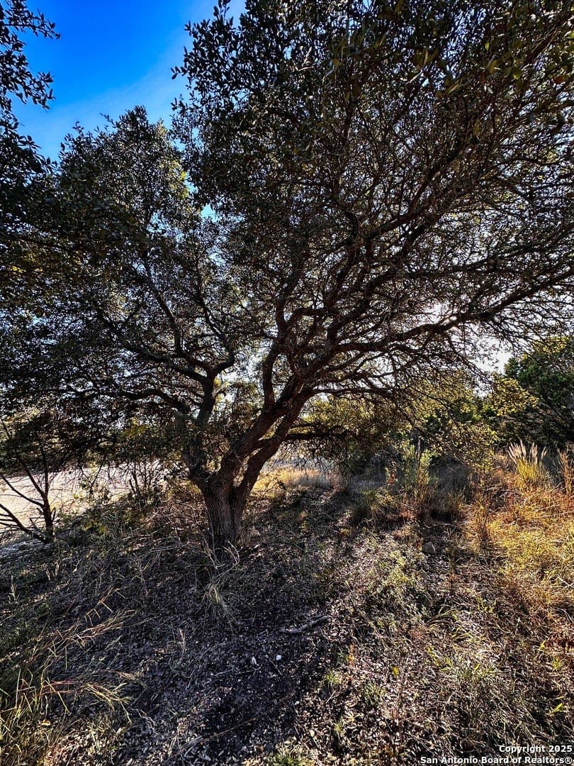 0.51 acres in Comal County gallery image 4