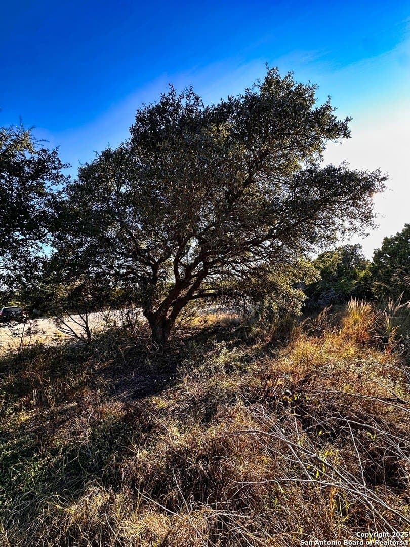 0.51 acres in Comal County featured view