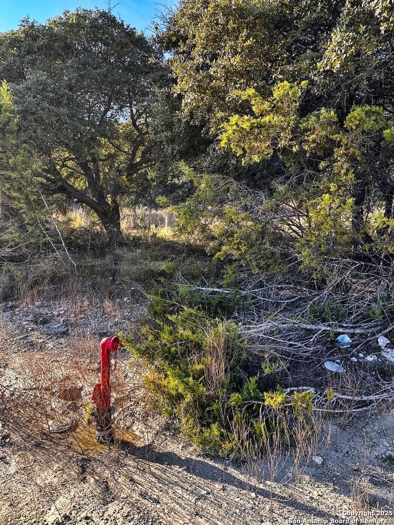 0.51 acres in Comal County gallery image 3