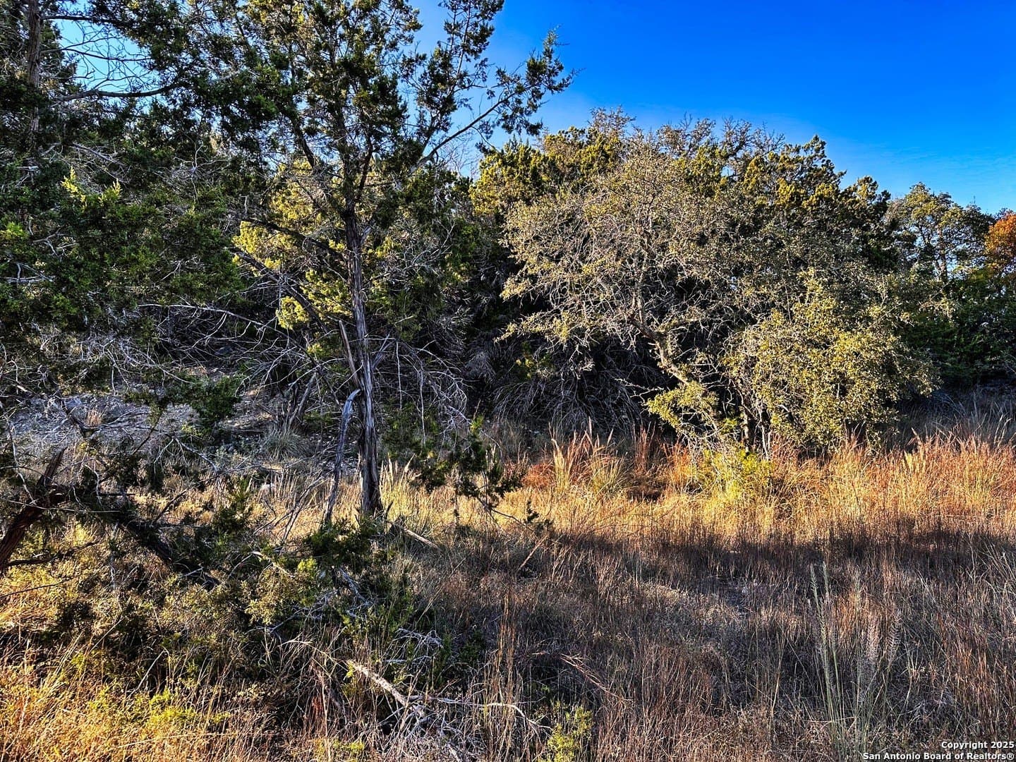 0.51 acres in Comal County - photo 6
