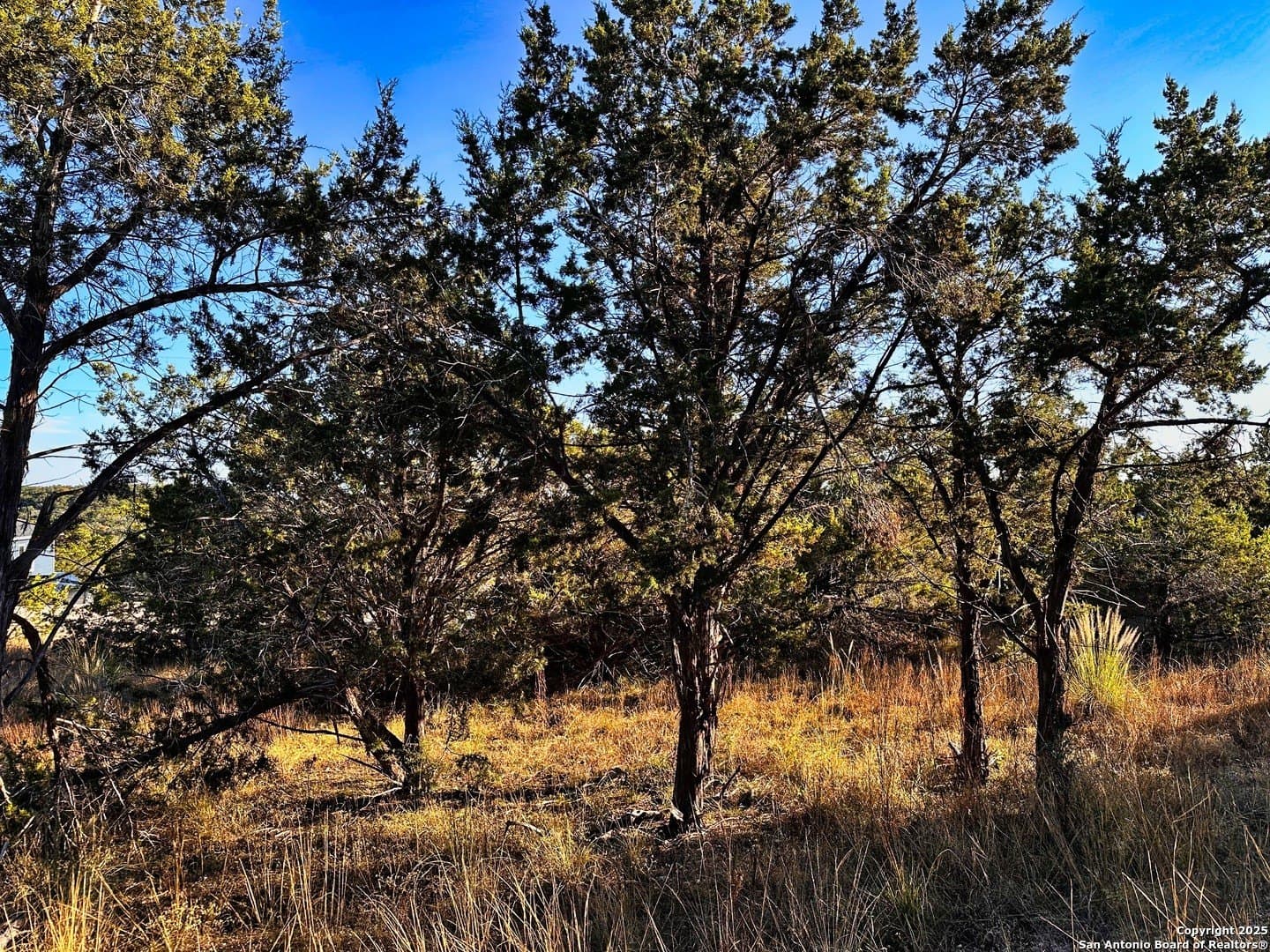 0.51 acres in Comal County - photo 8