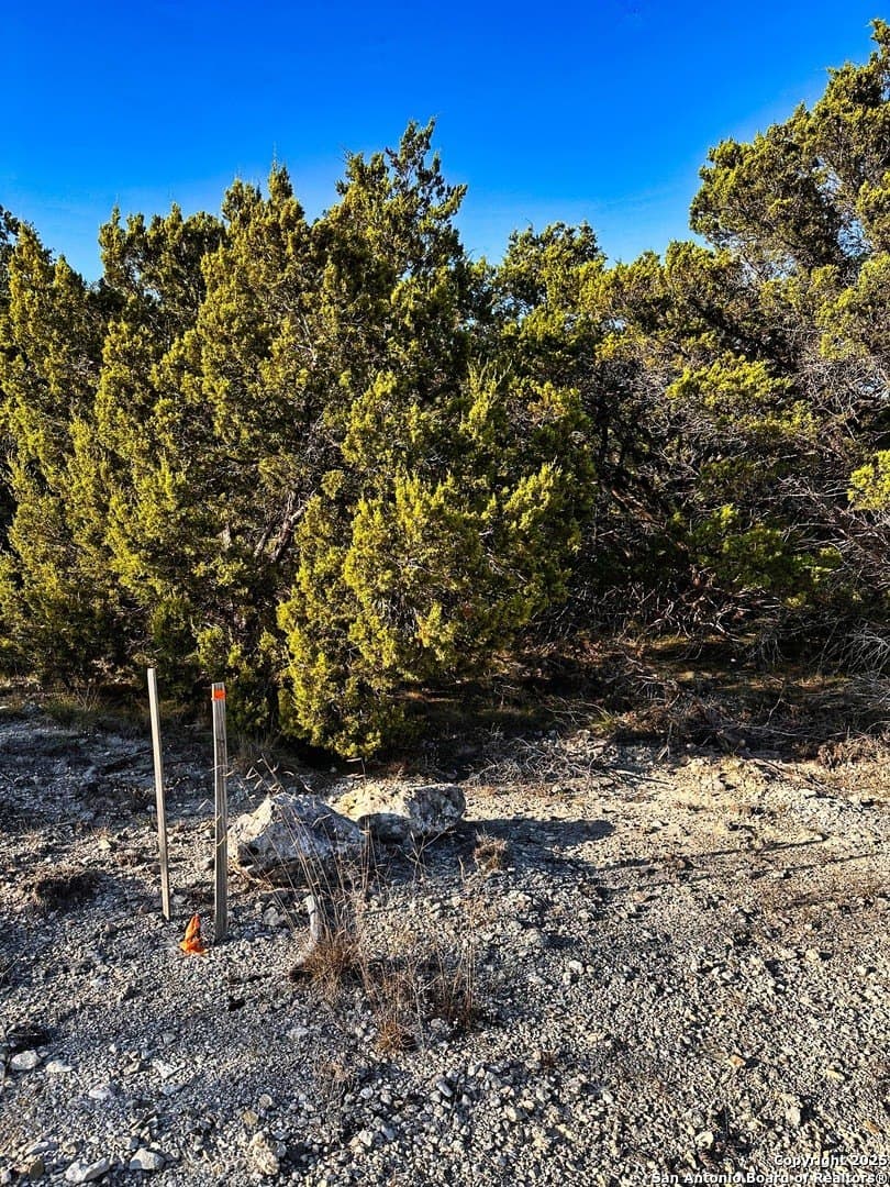 0.51 acres in Comal County gallery image 2