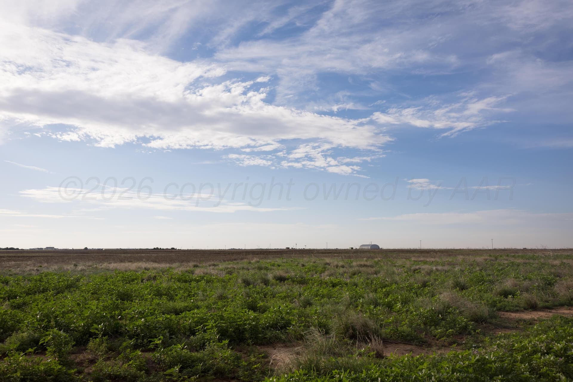 40 acres in Randall County - photo 16