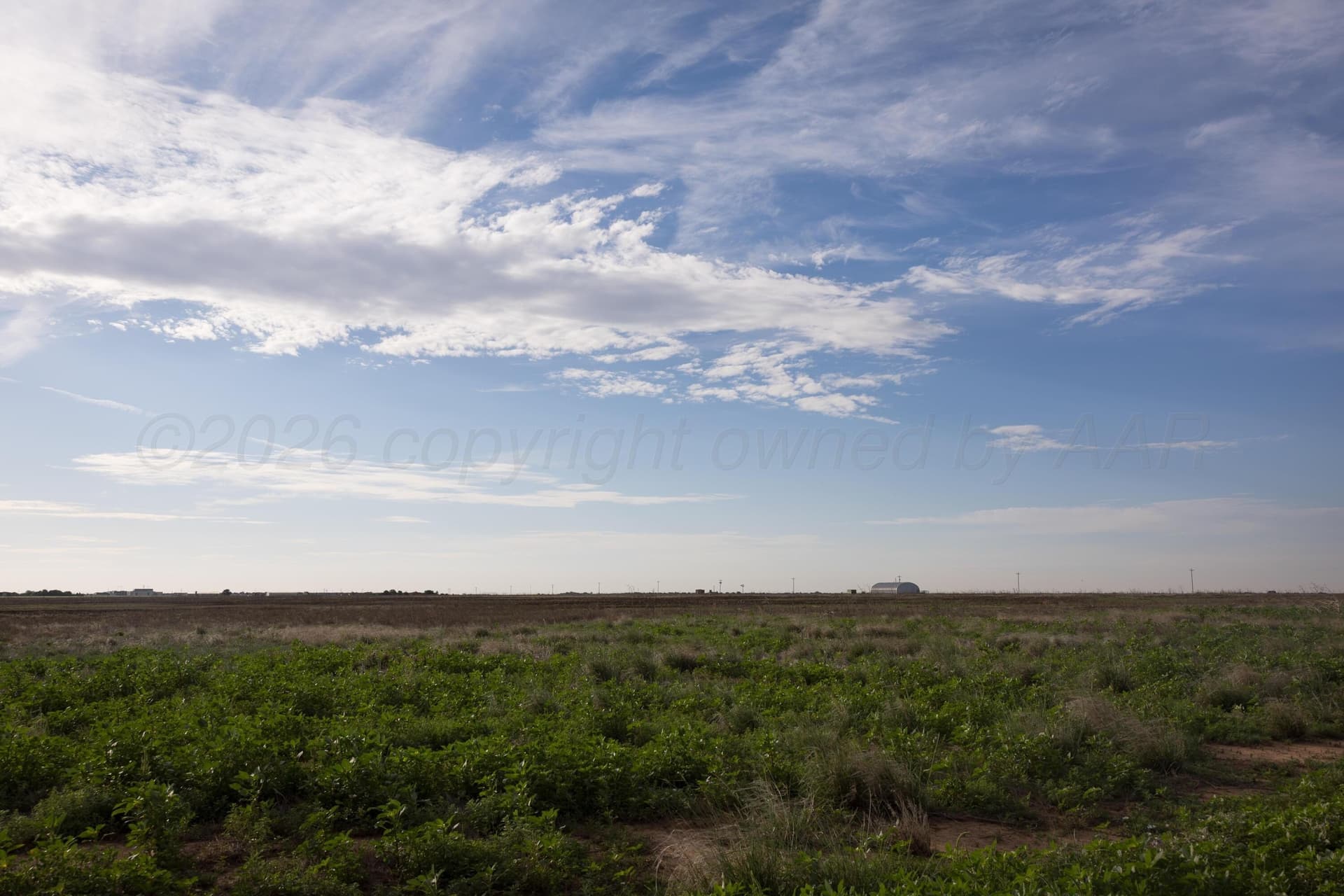 40 acres in Randall County - photo 15