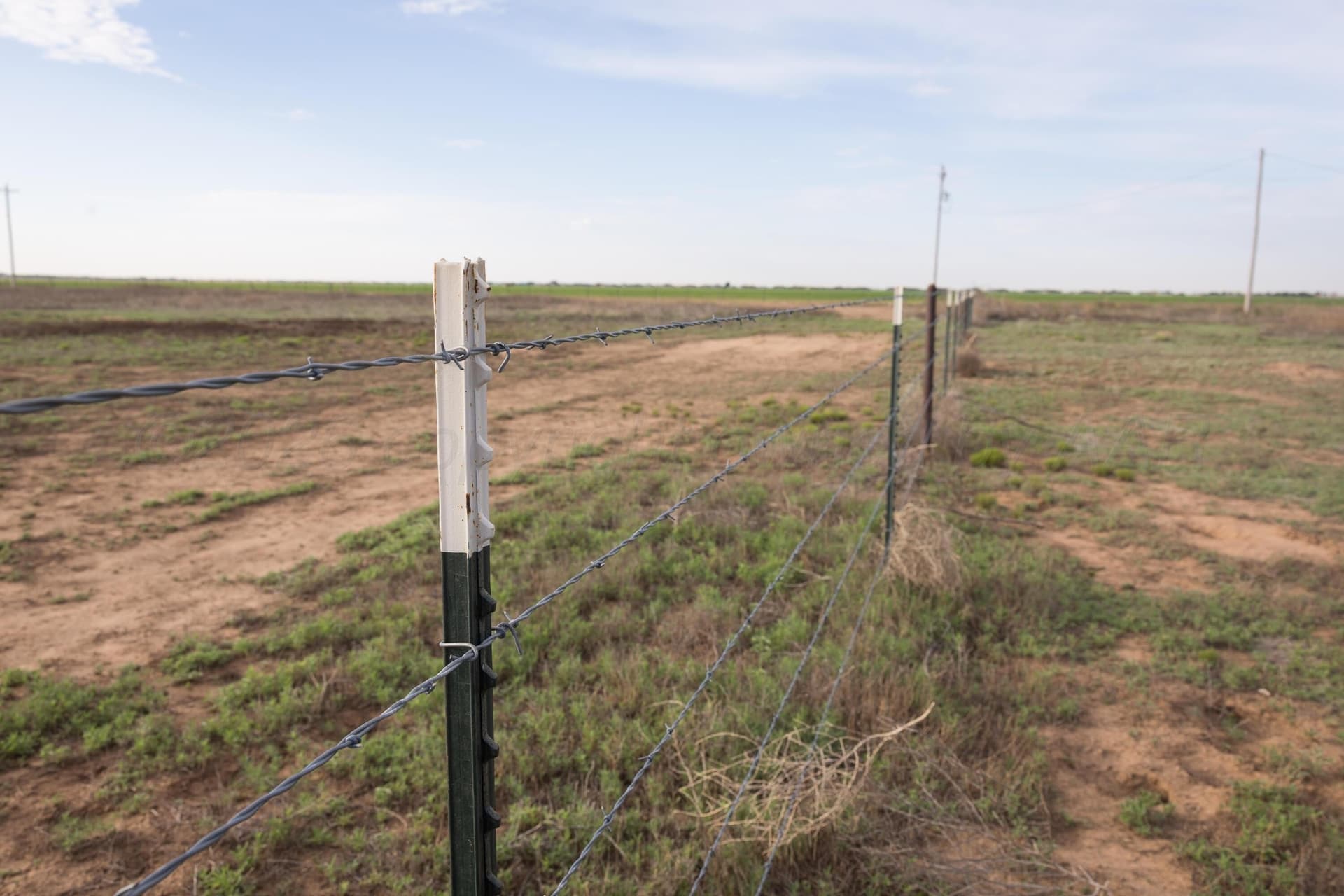 40 acres in Randall County - photo 11
