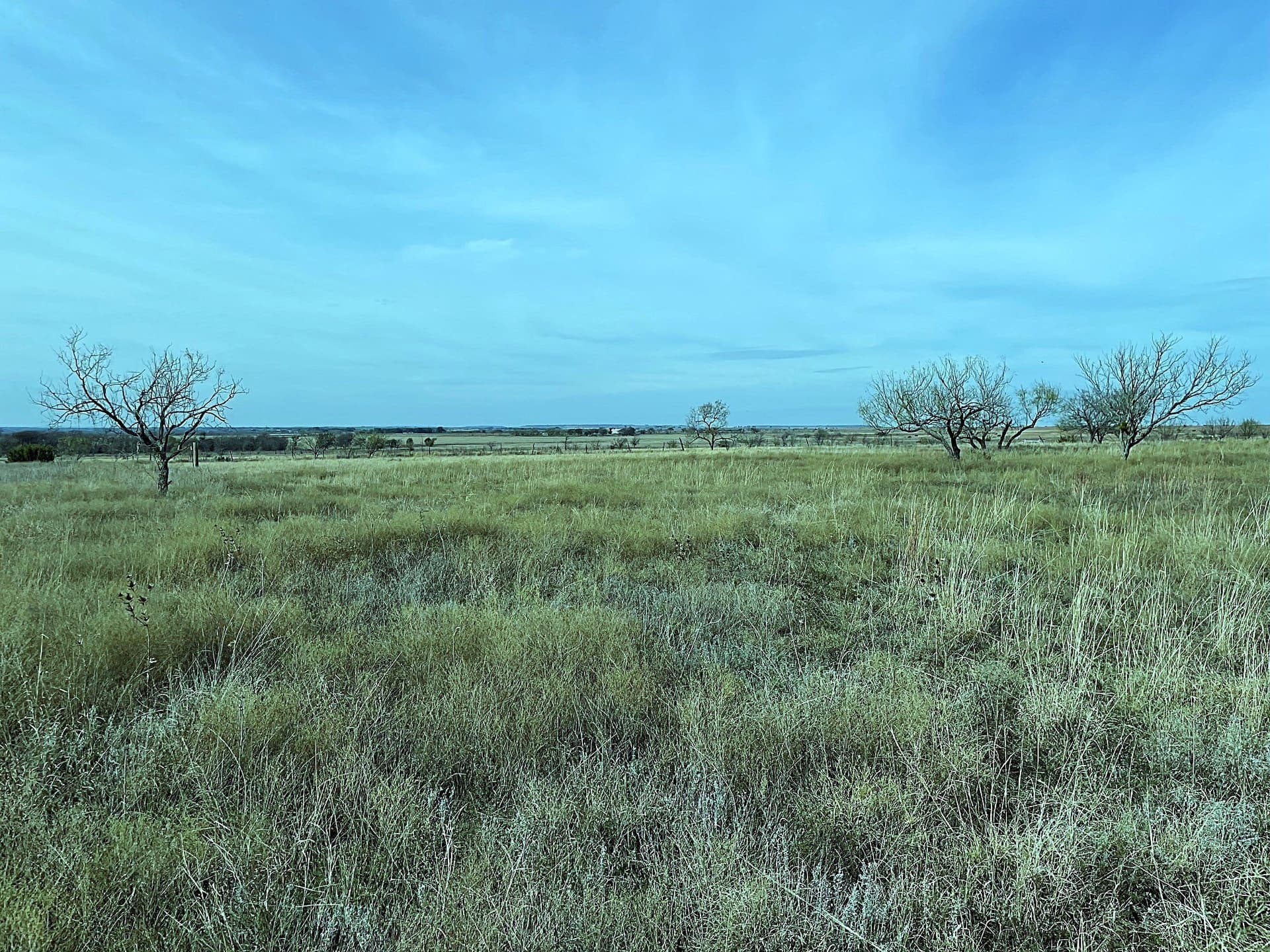20.07 acres in Hamilton County gallery image 3