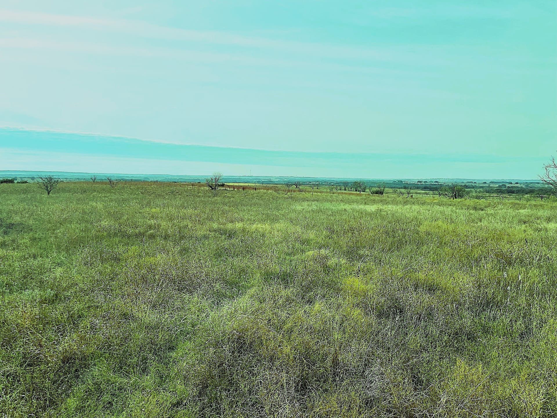 20.07 acres in Hamilton County featured view