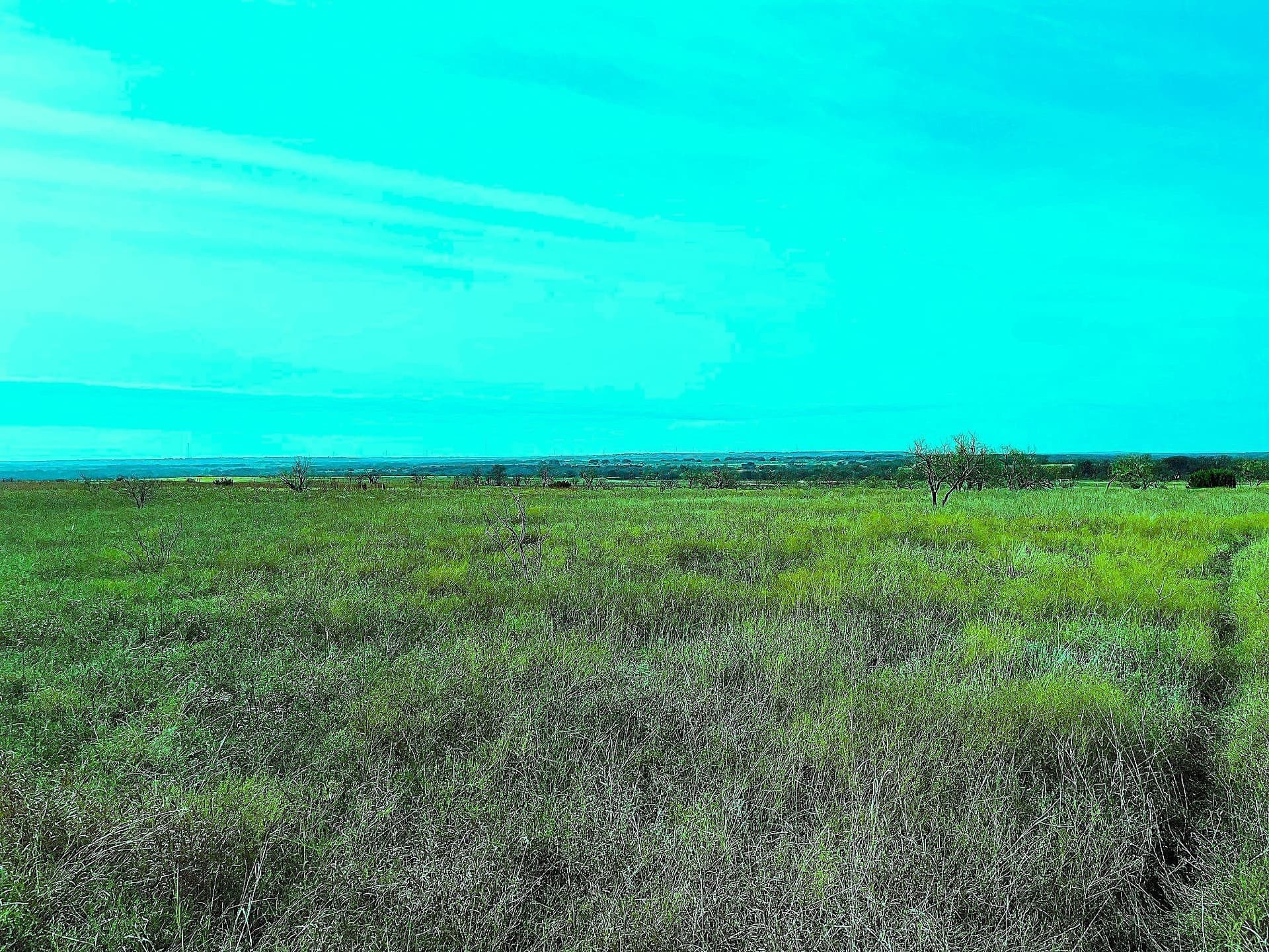 20.07 acres in Hamilton County gallery image 4