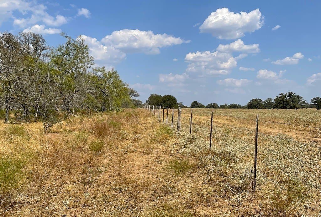 166 acres in Gonzales County - photo 23