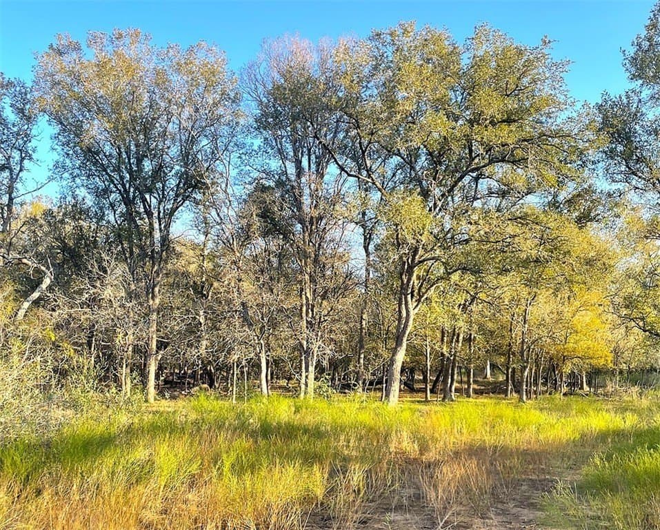 166 acres in Gonzales County - photo 8