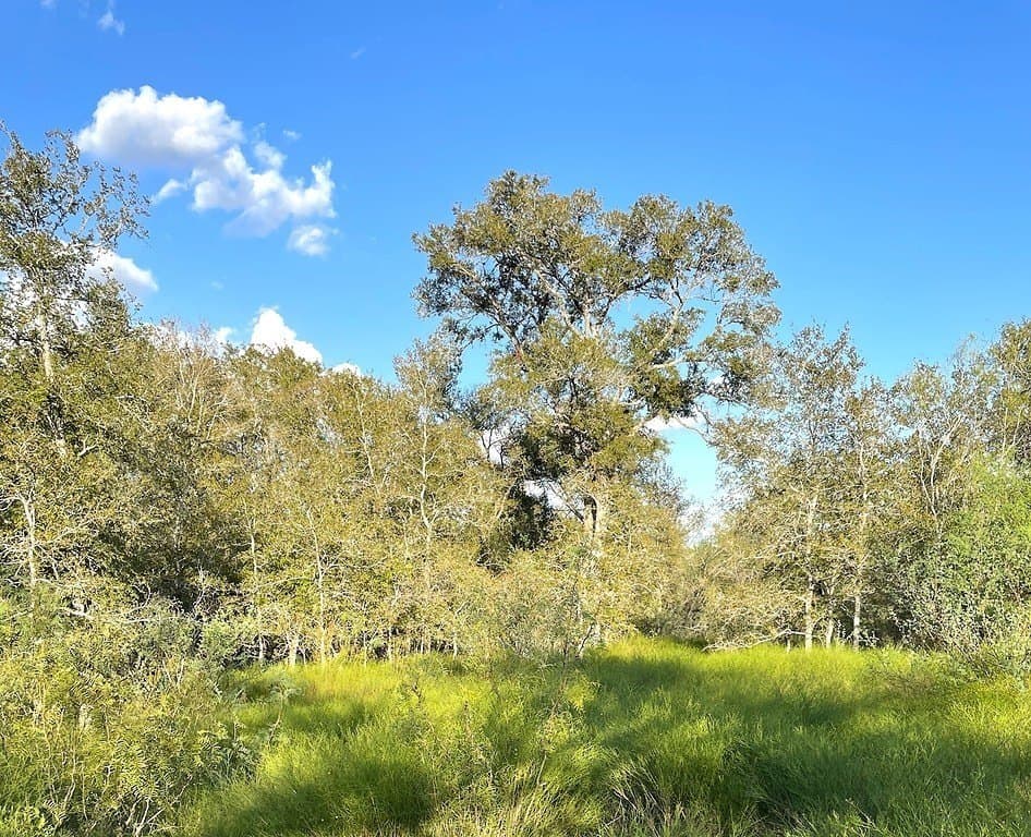 166 acres in Gonzales County - photo 15