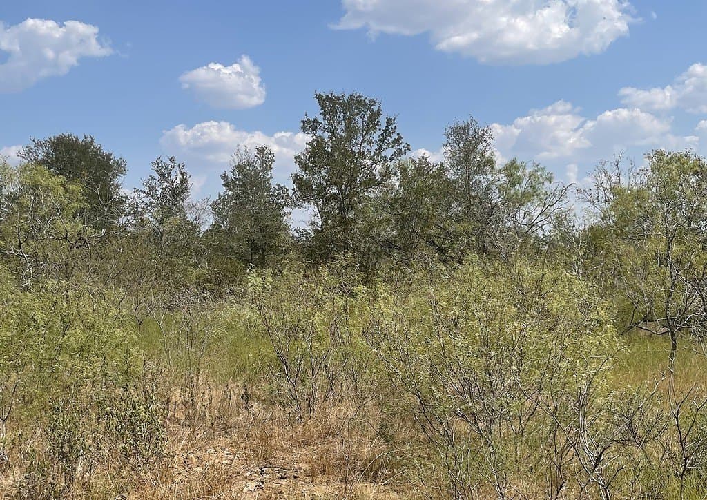 166 acres in Gonzales County - photo 28