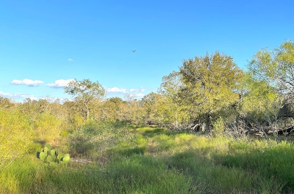 166 acres in Gonzales County - photo 13