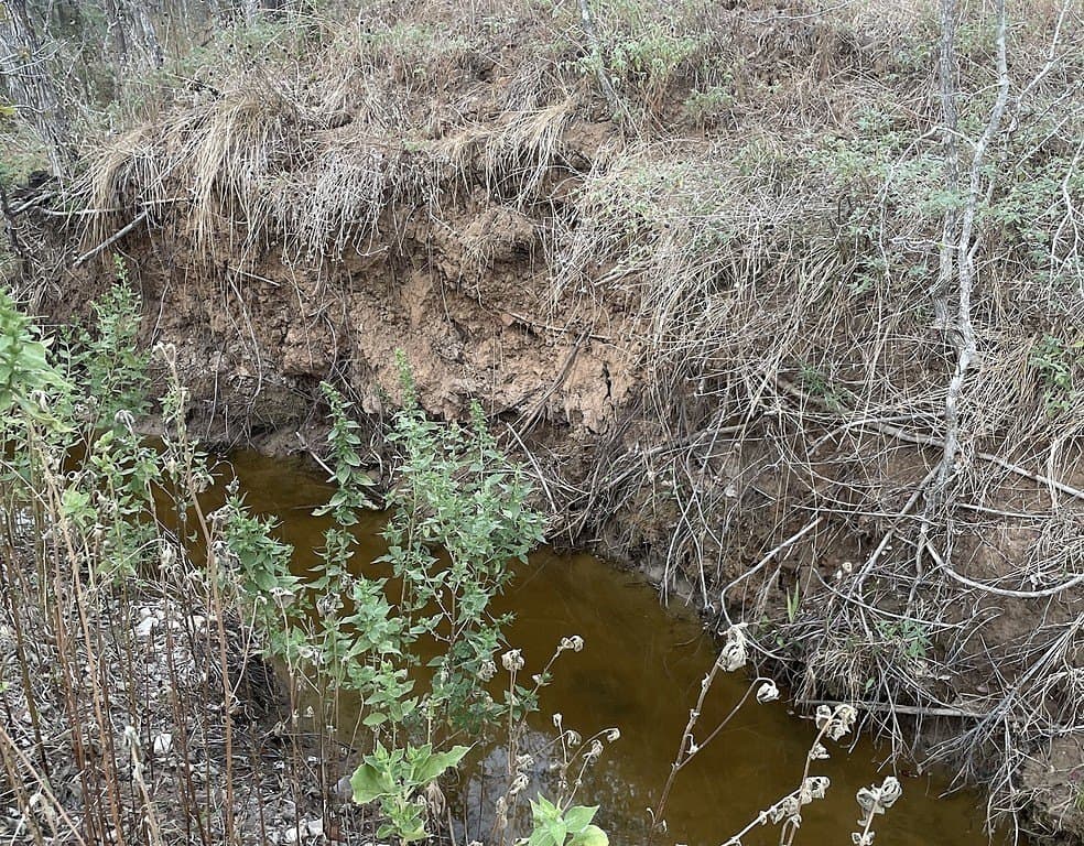 166 acres in Gonzales County - photo 4