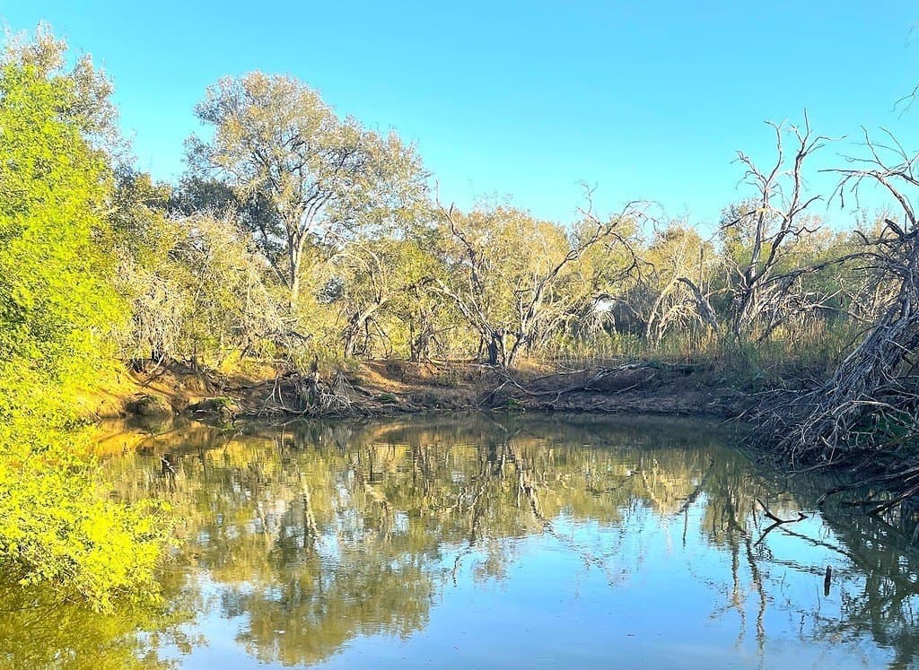 166 acres in Gonzales County - photo 10