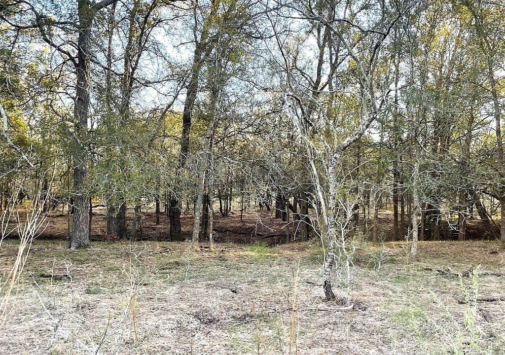 166 acres in Gonzales County - photo 7