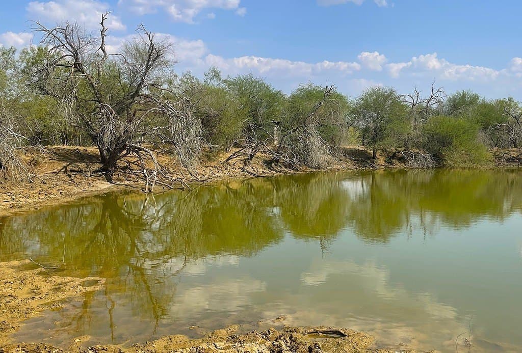 166 acres in Gonzales County - photo 20
