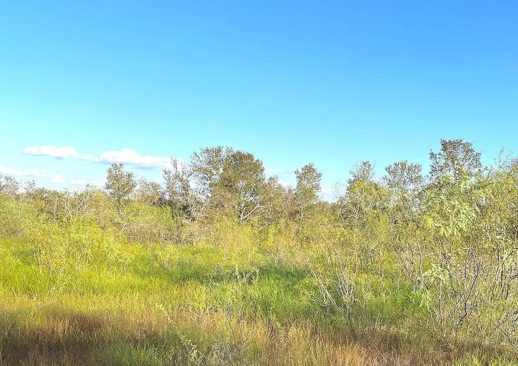 166 acres in Gonzales County - photo 14