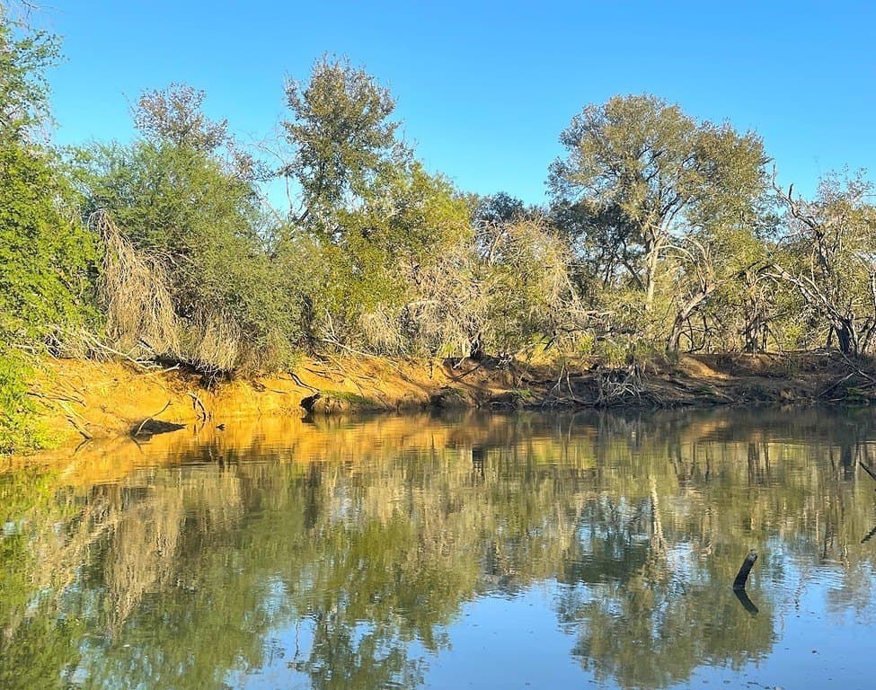 166 acres in Gonzales County - photo 9