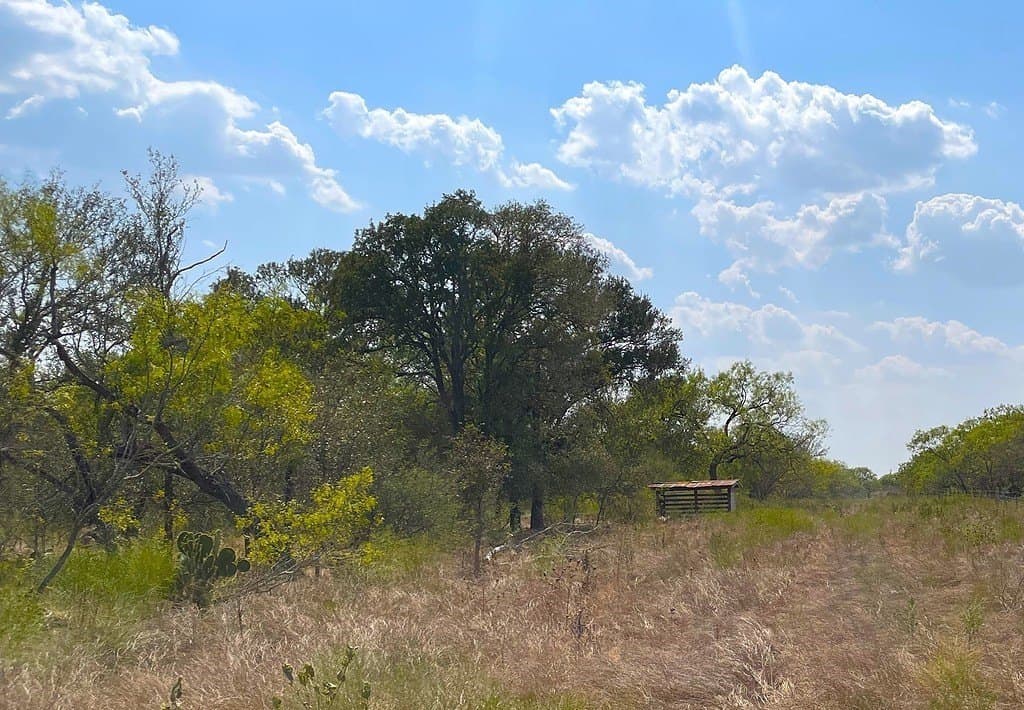 166 acres in Gonzales County - photo 22