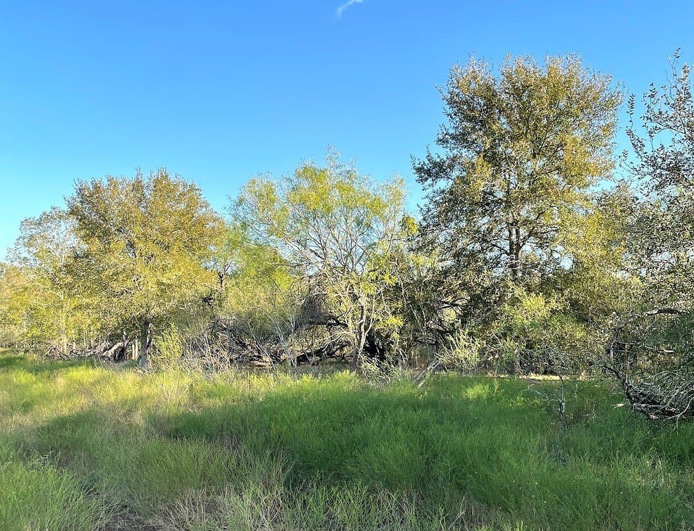 166 acres in Gonzales County - photo 12