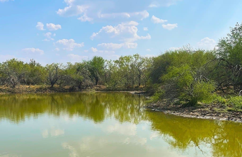 166 acres in Gonzales County - photo 19