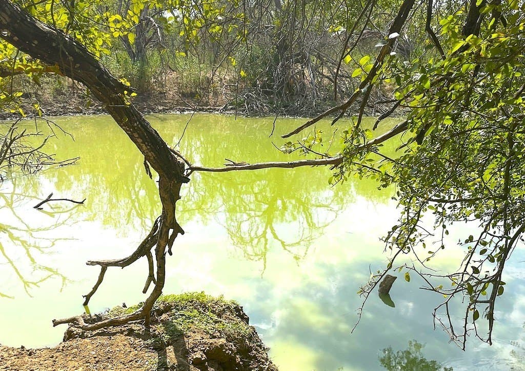 166 acres in Gonzales County - photo 25
