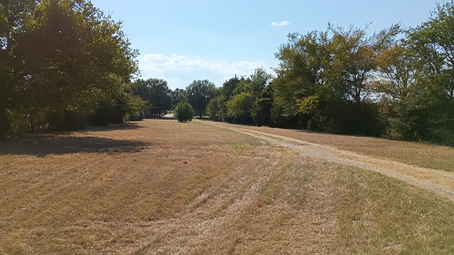 2.26 acres in Henderson County - photo 5