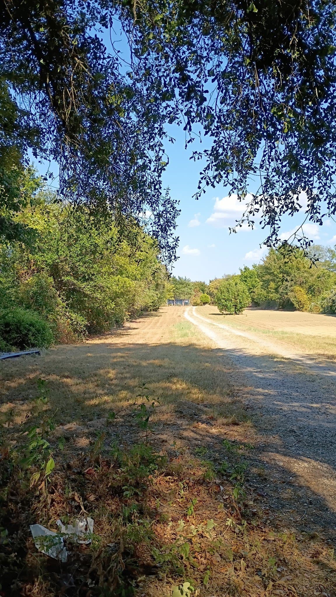 2.26 acres in Henderson County - photo 4