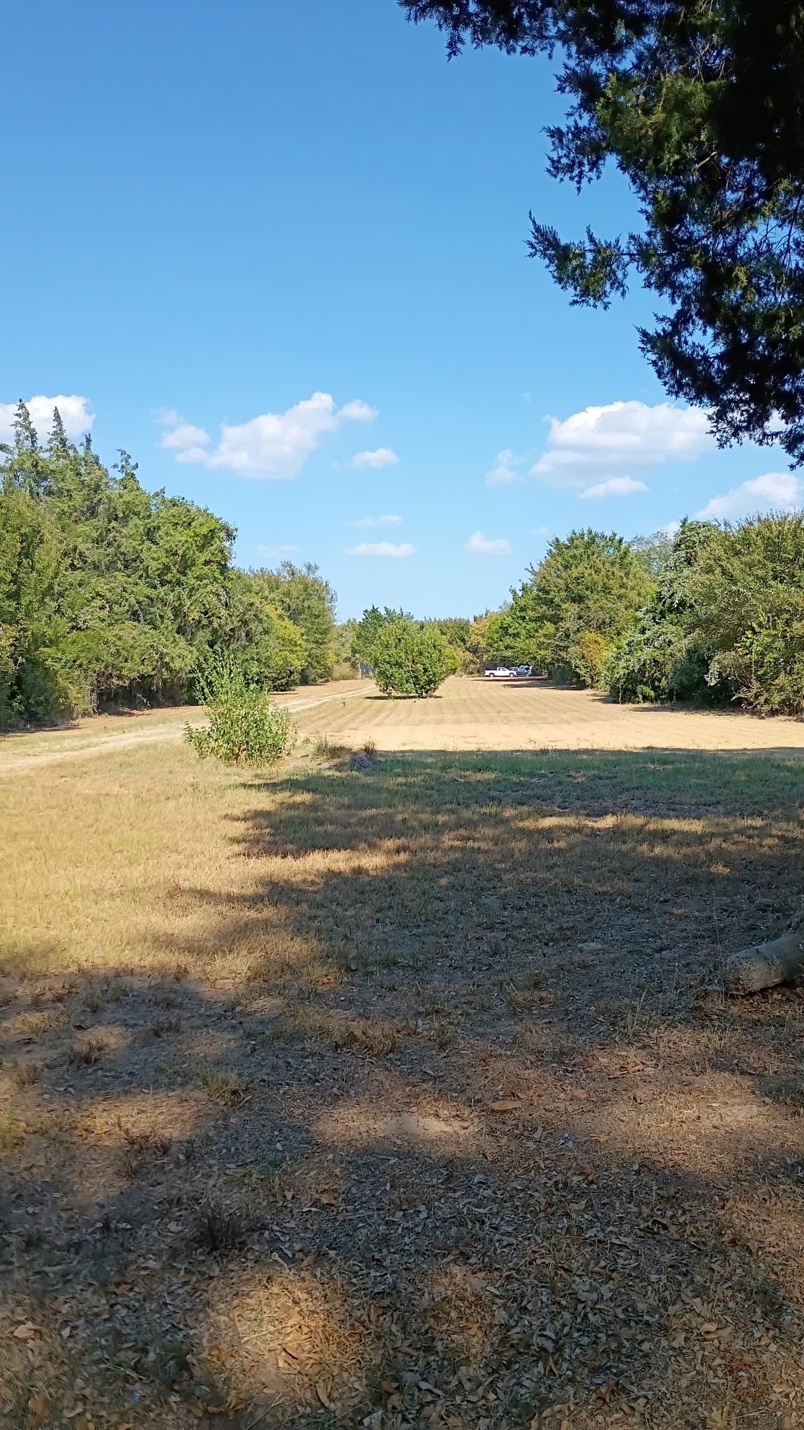 2.26 acres in Henderson County - photo 3
