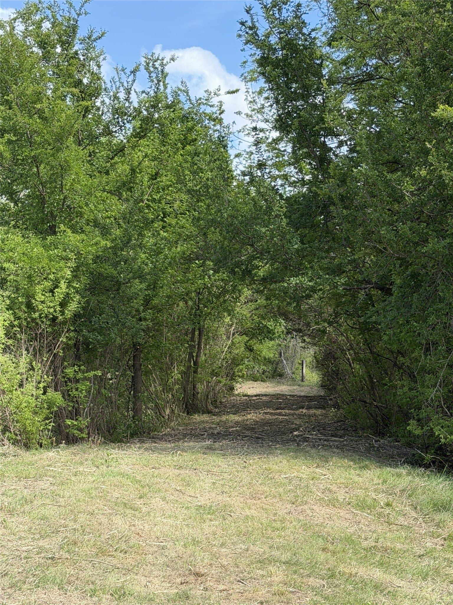 14.34 acres in Parker County - photo 7