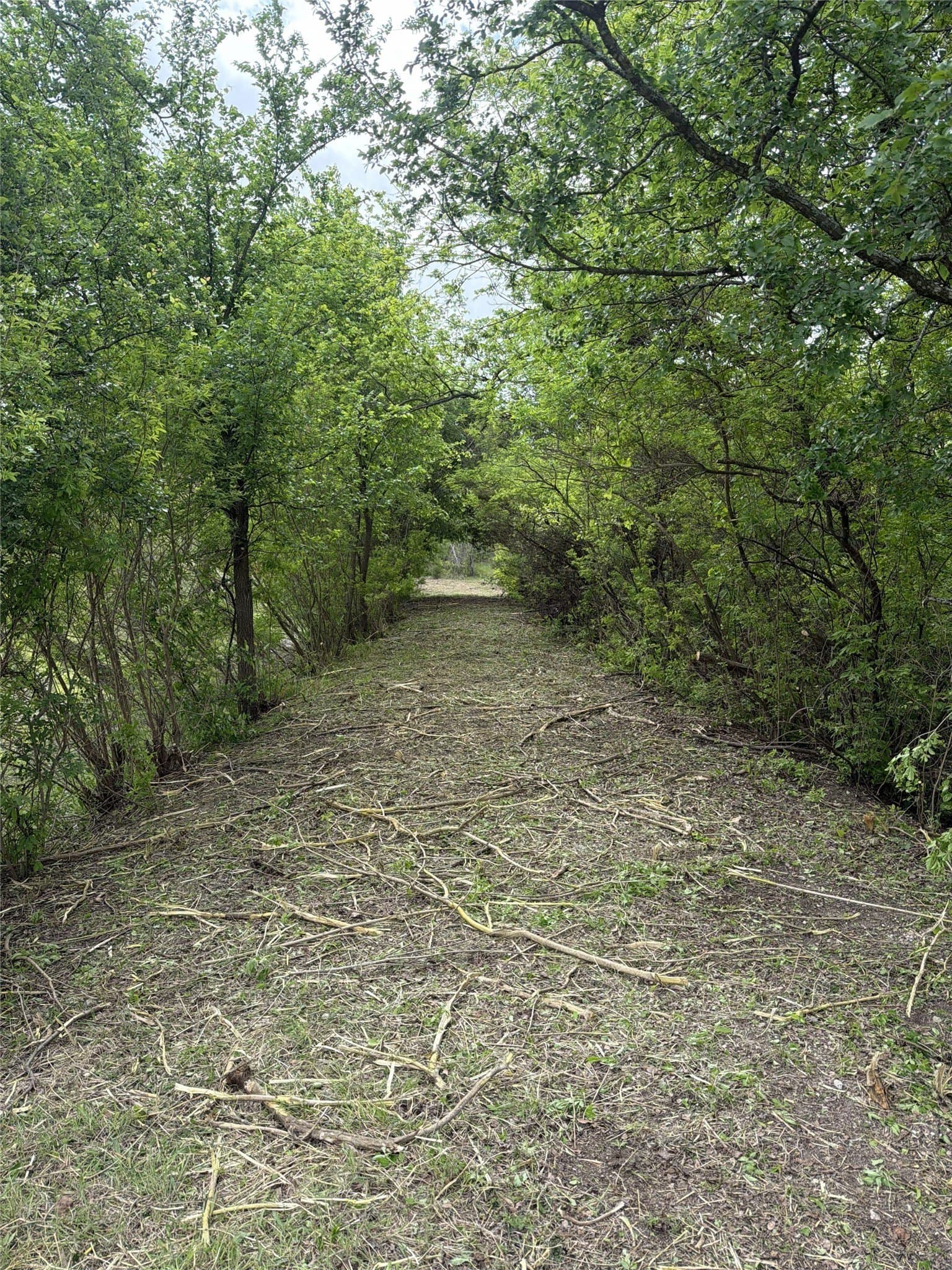14.34 acres in Parker County - photo 3