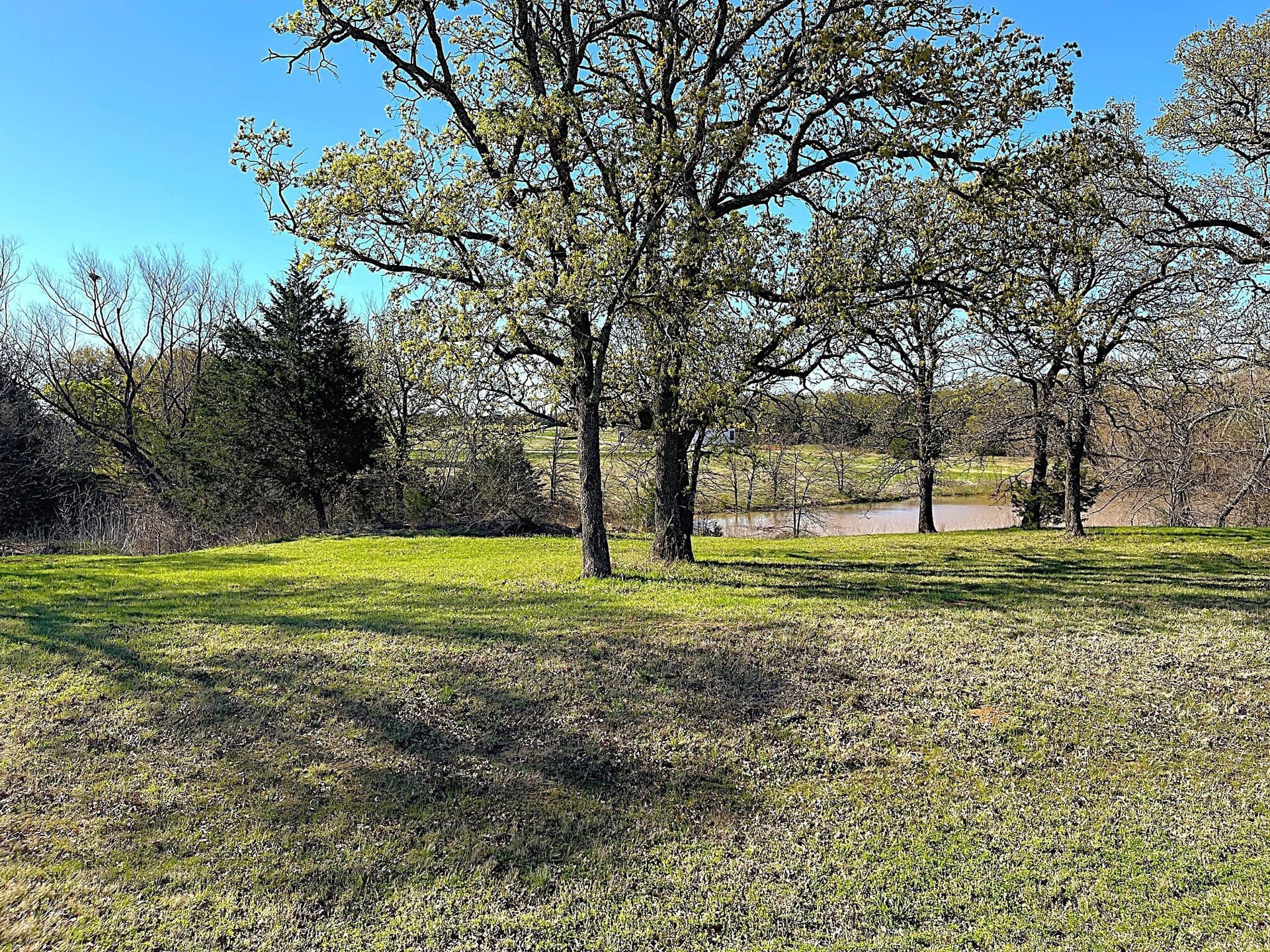 0.29 acres in Grayson County gallery image 3