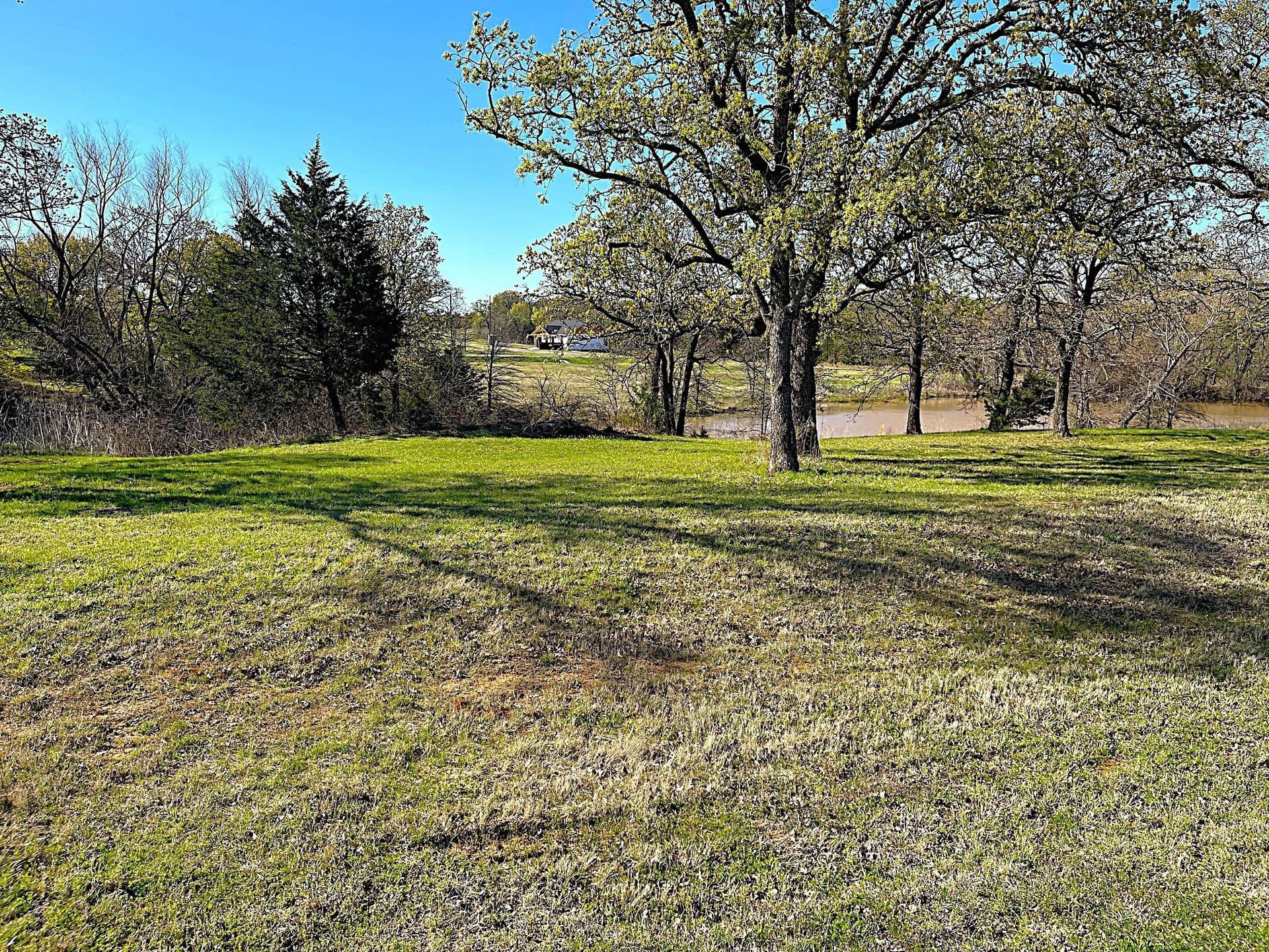 0.29 acres in Grayson County gallery image 4