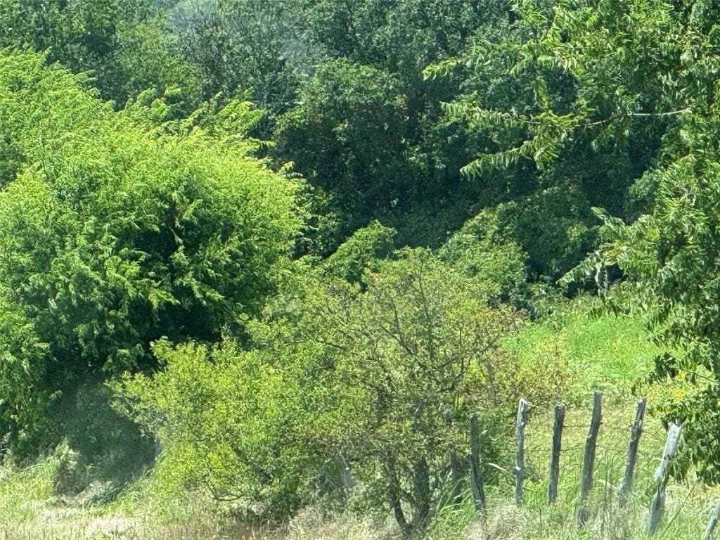 45 acres in Hamilton County gallery image 4