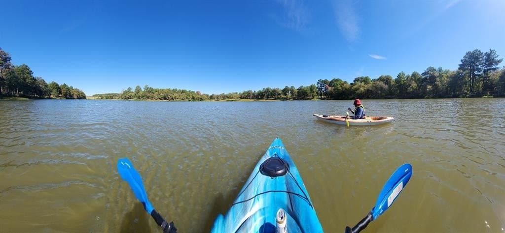 2.06 acres in Leon County gallery image 4