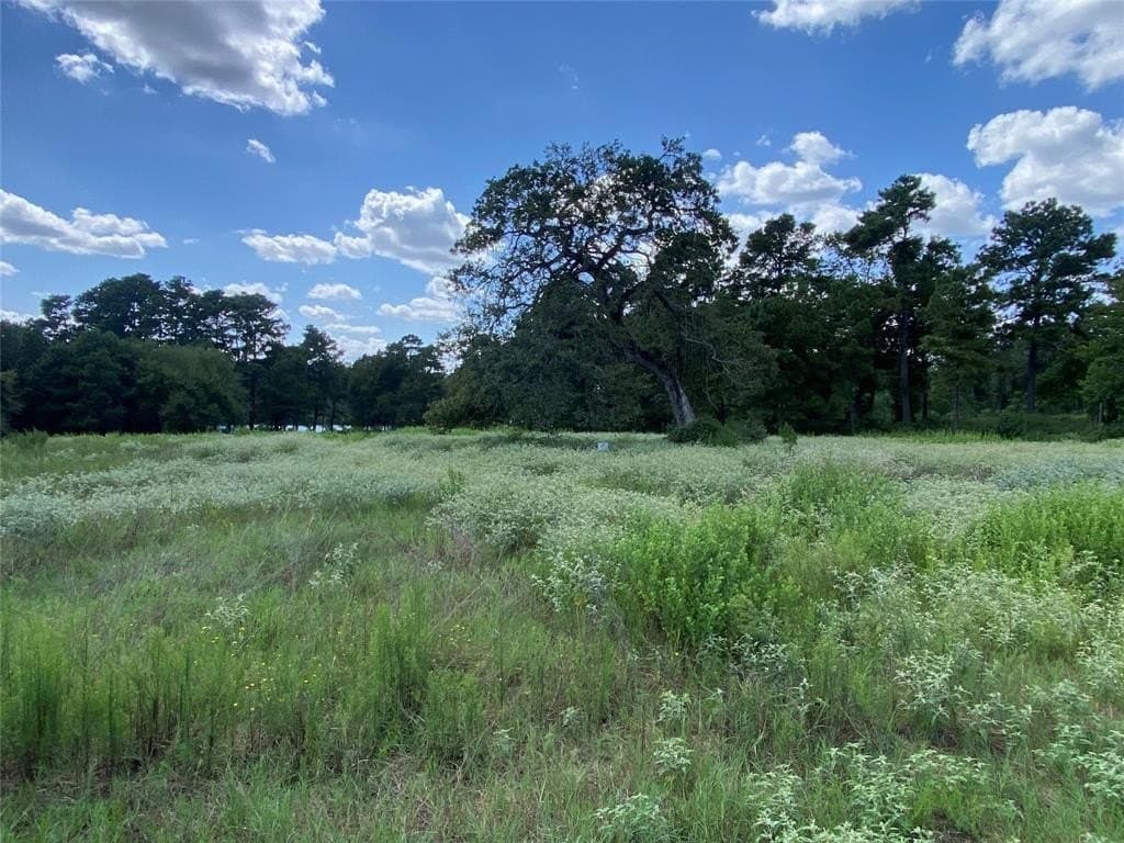 2.06 acres in Leon County gallery image 3