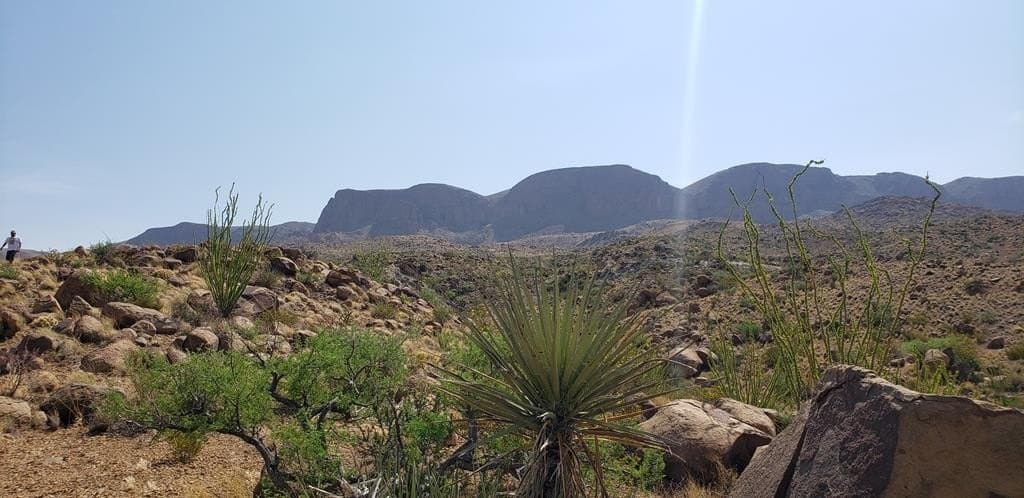 60 acres in Brewster County - photo 34