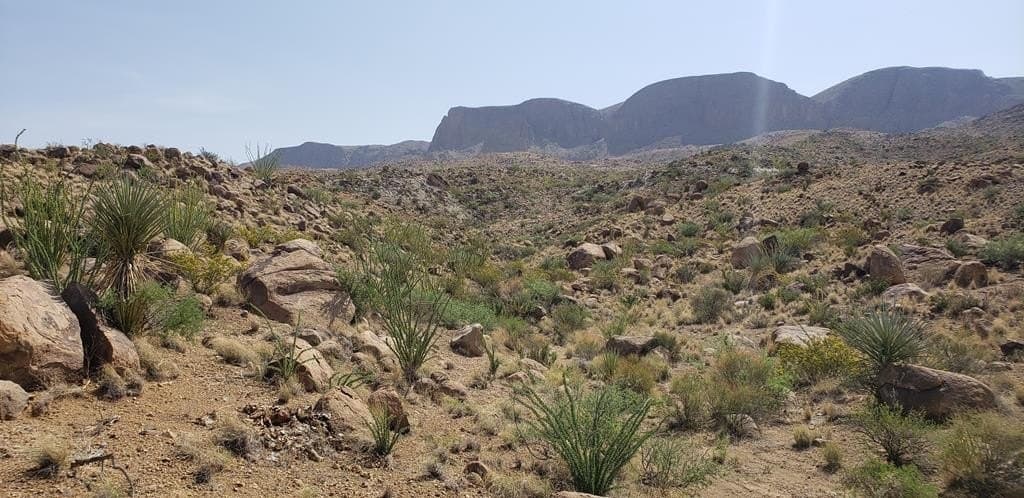 60 acres in Brewster County - photo 23