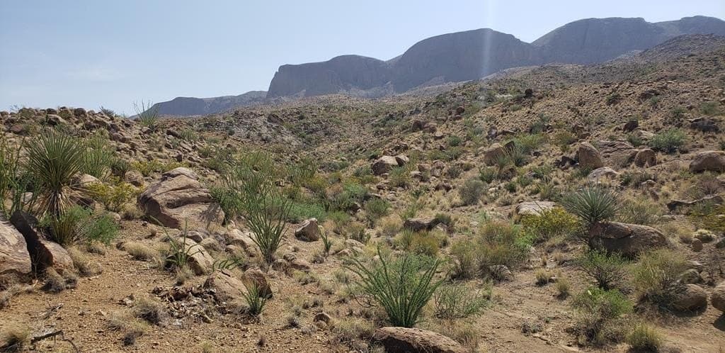 60 acres in Brewster County - photo 27