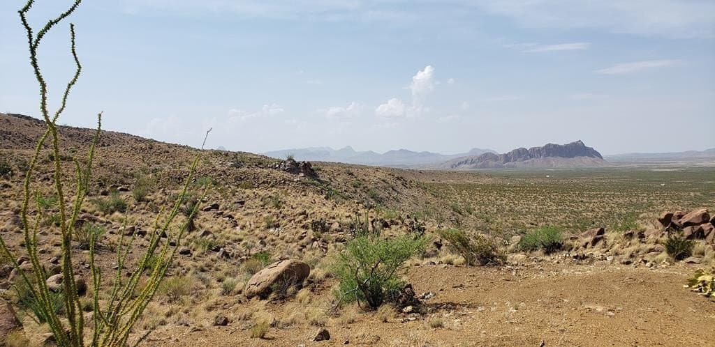 60 acres in Brewster County - photo 32