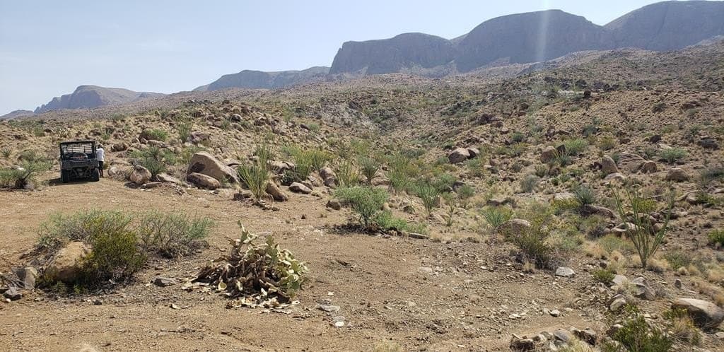 60 acres in Brewster County - photo 25