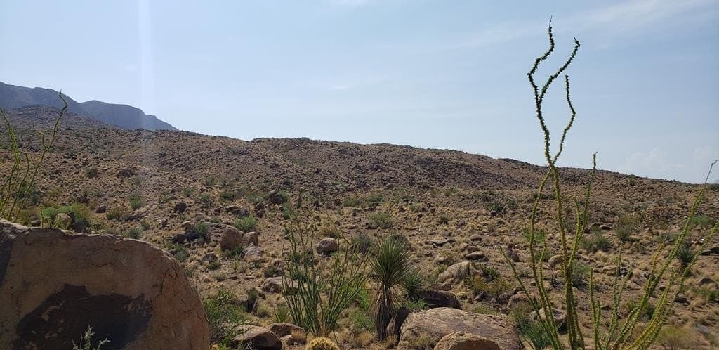 60 acres in Brewster County - photo 33