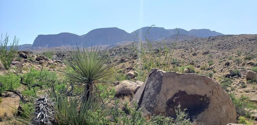 60 acres in Brewster County - photo 35