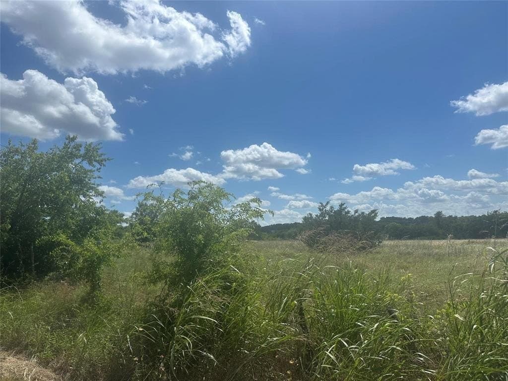 3.99 acres in Parker County gallery image 3