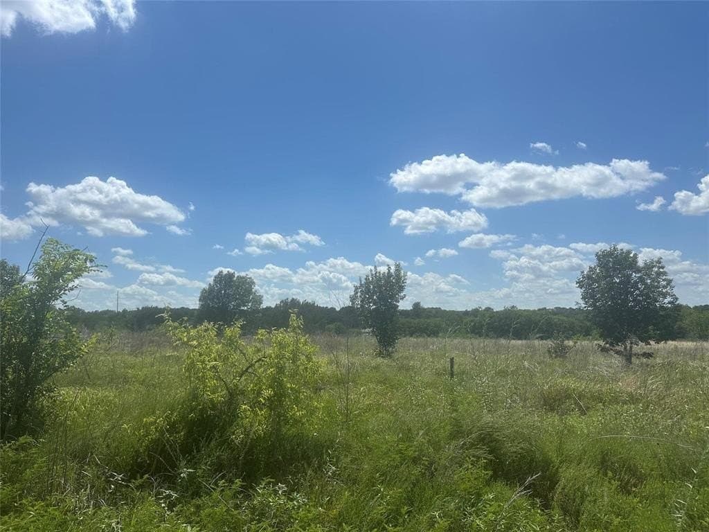 3.99 acres in Parker County gallery image 4