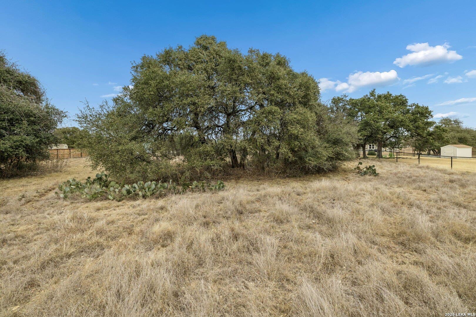 0.3 acres in Blanco County - photo 29